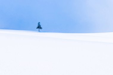 Güzel açık doğa manzara ile Noel ağacı kışın