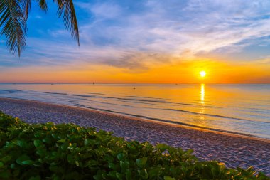 SUNR 'de deniz plajının güzel açık tropikal doğa manzara