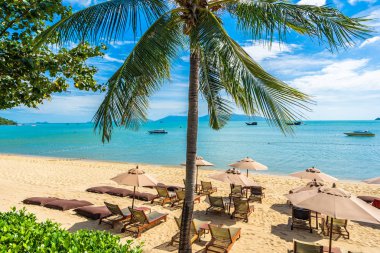 Hindistan cevizi palmiye ağacı ile güzel tropikal plaj deniz ve okyanus bir