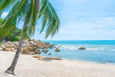 Samui Adası etrafında güzel açık tropikal plaj deniz ile Co