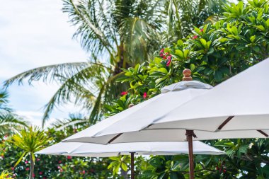 Üzerinde hindistan cevizi palmiye ağacı ile şemsiye seçici odak noktası 