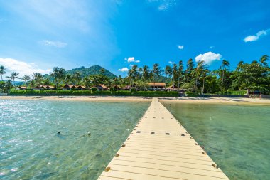 Güzel tropikal plaj deniz ve kum ile Hindistan cevizi palmiye ağacı üzerinde 