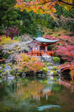 Güzel Daigoji Tapınağı ile renkli ağaç ve yaprak sonbahar s