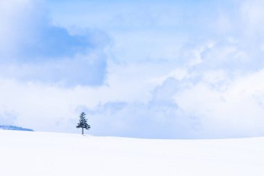 Güzel açık doğa manzara ile Noel ağacı kışın