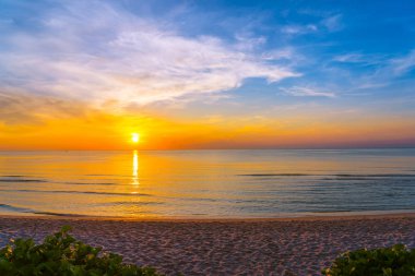 SUNR 'de deniz plajının güzel açık tropikal doğa manzara