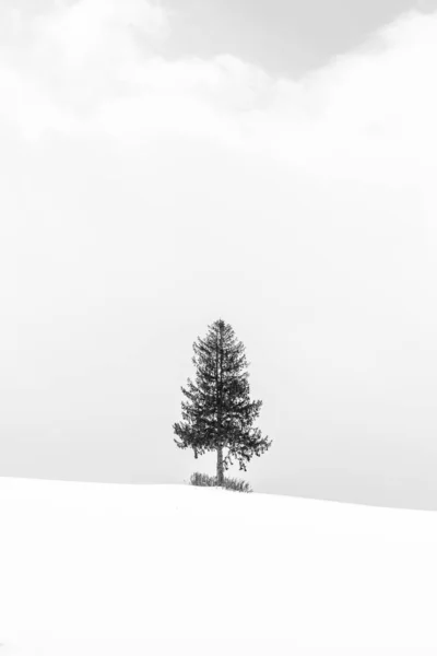 Bela paisagem com árvore solitária na temporada de inverno de neve — Fotografia de Stock