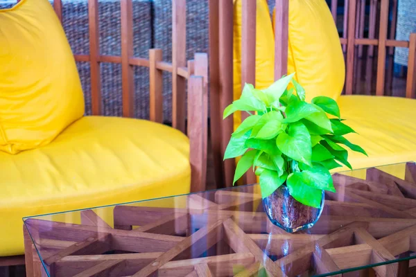 Vase plant on table with pillow and sofa — Stock Photo, Image