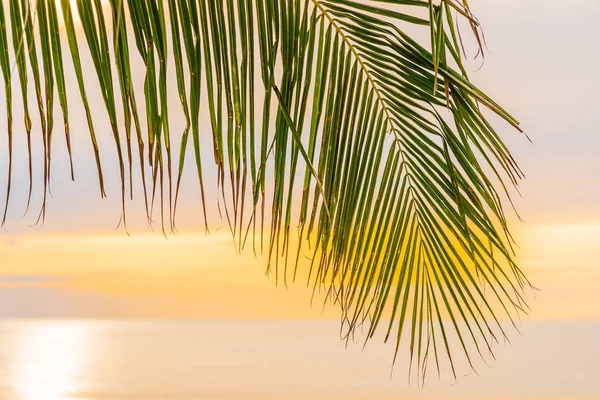 Prachtige zee oceaan strand met palmboom bij zonsopgang tijd voor hol — Stockfoto