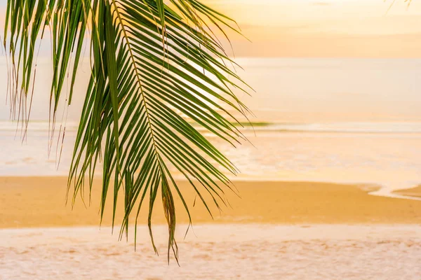 Bella spiaggia mare oceano con palma all'alba per l'alcol — Foto Stock