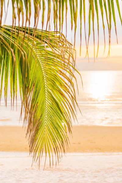 Hermosa playa de mar con palmera al amanecer para el alcohol —  Fotos de Stock