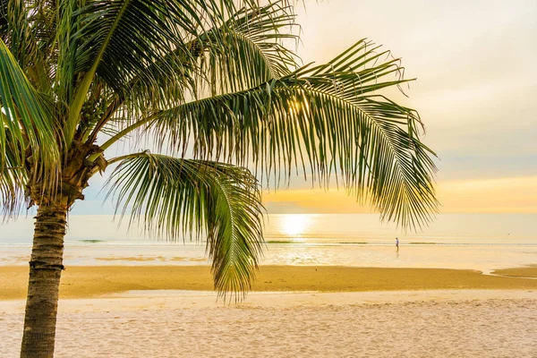 Hermosa playa de mar con palmera al amanecer para el alcohol — Foto de Stock