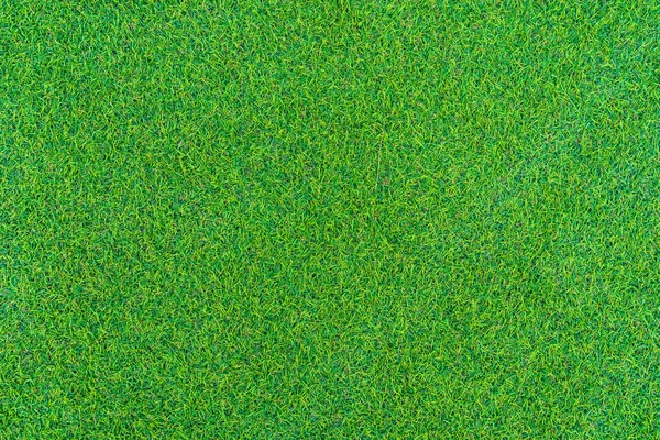 Texture et surface de l'herbe verte abstraite — Photo