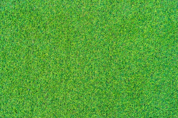 Textura y superficie de hierba verde abstracta — Foto de Stock