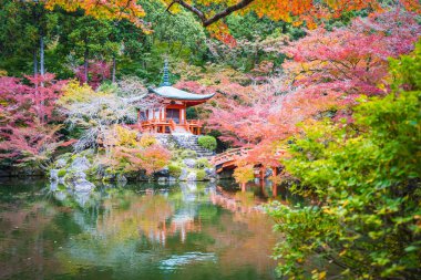 Güzel Daigoji Tapınağı ile renkli ağaç ve yaprak sonbahar s
