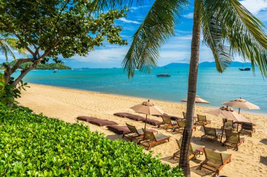 Hindistan cevizi palmiye ağacı ile güzel tropikal plaj deniz ve okyanus bir