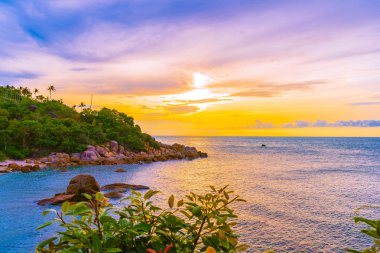 Samui Adası etrafında güzel açık tropikal plaj deniz ile Co