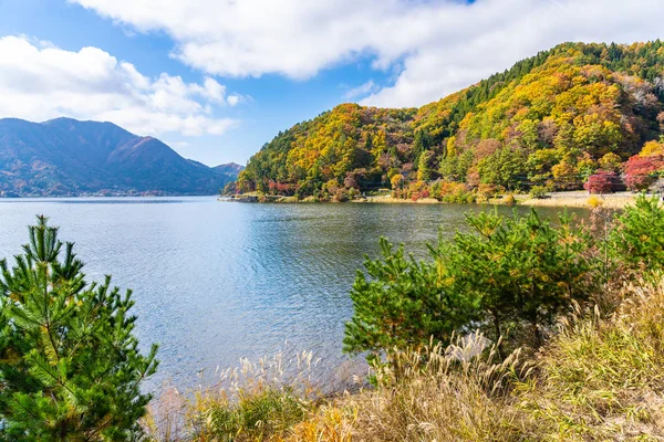 Bela paisagem em torno do lago kawaguchiko em Yamanashi Japão — Fotografia de Stock