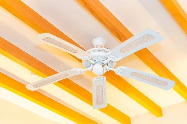 Electric ceiling fan decoration interior of room