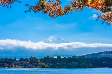 Dağ fuji ile akçaağaç yaprağı ağacın etrafında güzel manzara