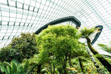 Çiçek kubbe Bahçesi ve greenhous bina güzel mimari
