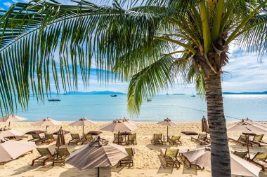 Hindistan cevizi palmiye ağacı ile güzel tropikal plaj deniz ve okyanus bir