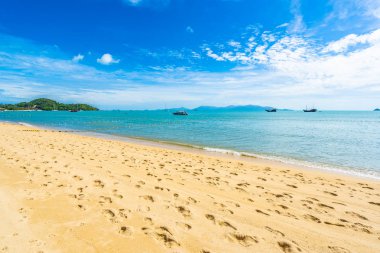 Hindistan cevizi palmiye ağacı ile güzel tropikal plaj deniz ve okyanus bir