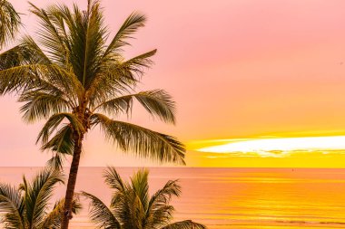 Hol için gün doğumu saatinde palmiye ağacı ile güzel deniz okyanusu plaj