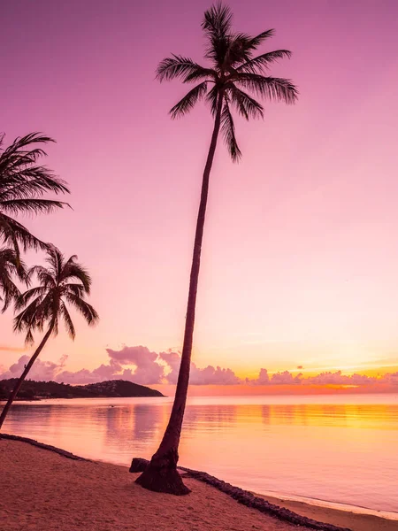 Bella spiaggia tropicale mare e oceano con palma da cocco a — Foto Stock