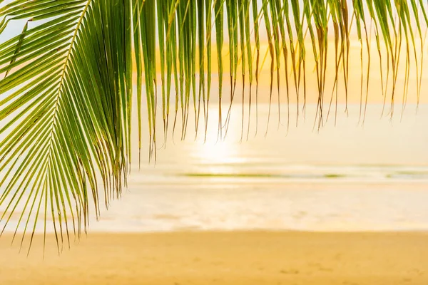 Bella spiaggia mare oceano con palma all'alba per l'alcol — Foto Stock