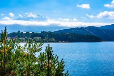 Dağ fuji ile akçaağaç yaprağı ağacın etrafında güzel manzara