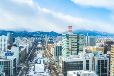 Sapporo Hokkaido, Japonya - 2 Şubat 2019 Beautiful Mimarlık