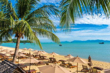 Hindistan cevizi palmiye ağacı ile güzel tropikal plaj deniz ve okyanus bir