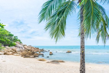 Samui Adası etrafında güzel açık tropikal plaj deniz ile Co