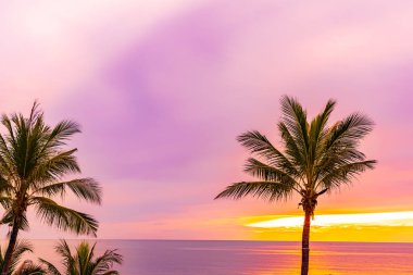 Hol için gün doğumu saatinde palmiye ağacı ile güzel deniz okyanusu plaj