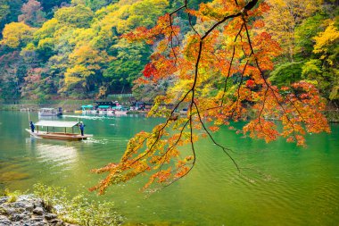 Akçaağaç ağaç yaprak ve etrafında tekne ile güzel Arashiyama Nehri 