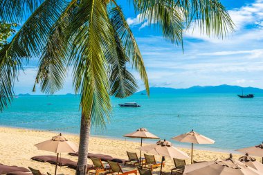 Hindistan cevizi palmiye ağacı ile güzel tropikal plaj deniz ve okyanus bir