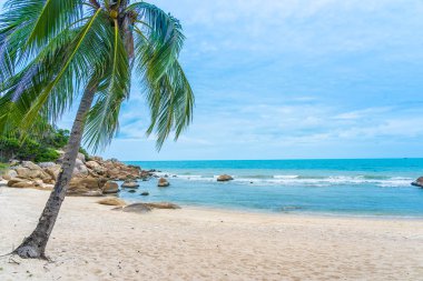 Samui Adası etrafında güzel açık tropikal plaj deniz ile Co