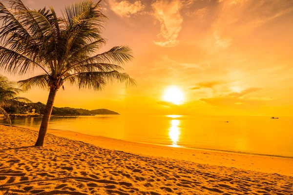 Bei Sonnenuntergang am tropischen Strand und Meer mit Kokospalmen — Stockfoto