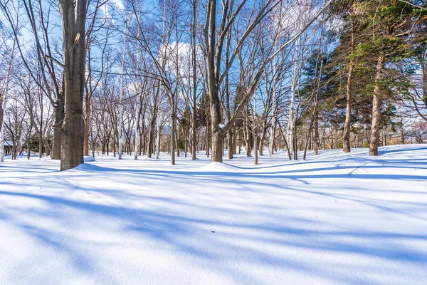 Beautiful landscape with tree in snow winter season — Stock Photo, Image