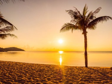 Güzel tropikal plaj deniz ve Hindistan cevizi palmiye ağacı ile okyanus