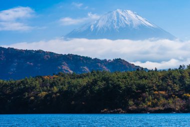 Dağ fuji ile akçaağaç yaprağı ağacın etrafında güzel manzara