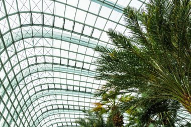 Çiçek kubbe Bahçesi ve greenhous bina güzel mimari