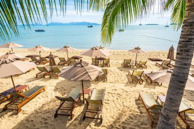 Hindistan cevizi palmiye ağacı ile güzel tropikal plaj deniz ve okyanus bir