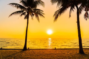 Güzel siluet Hindistan cevizi hurma ağacı gökyüzü neary deniz okyanus üzerinde olması