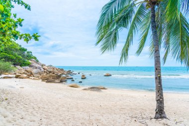 Samui Adası etrafında güzel açık tropikal plaj deniz ile Co