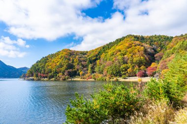 Göl kawaguchiko Yamanashi Japonya'da etrafında güzel peyzaj
