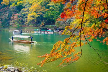 Akçaağaç ağaç yaprak ve etrafında tekne ile güzel Arashiyama Nehri 