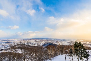 Dağın etrafından kar kış deniz ağacında ile güzel manzara