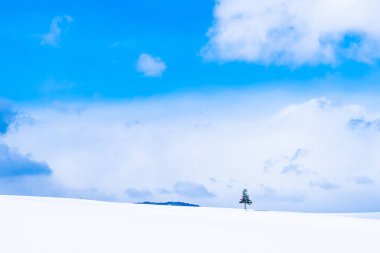 Güzel açık doğa manzara ile Noel ağacı kışın