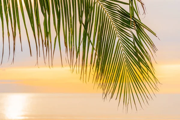 Schöner Strand am Meer mit Palme bei Sonnenaufgang für hol — Stockfoto